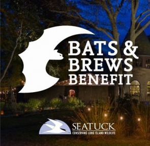 2024 Bats and Brews Festival - COMING OCT. 19